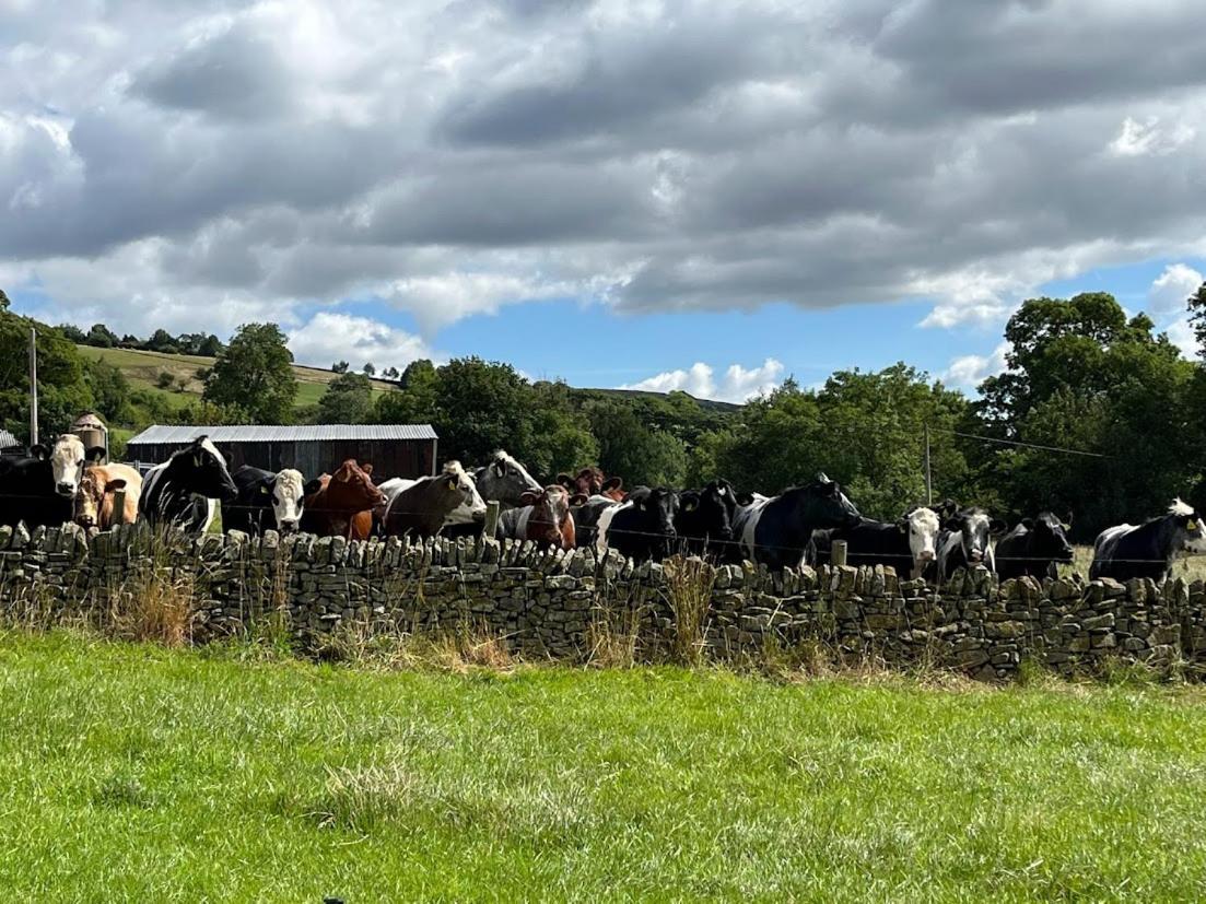 Riding House Farm Cottages Castleton  Exterior foto